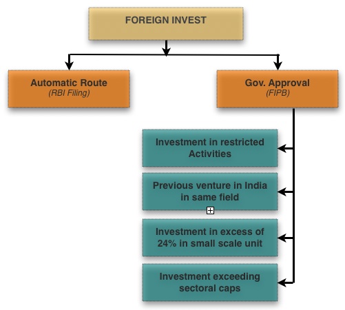 Types of foreign direct investment and key drivers 