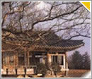 Business in Korea