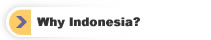 Why Indonesia