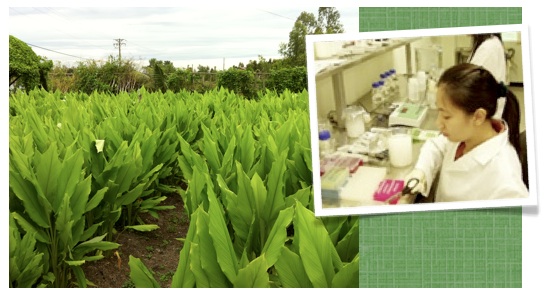Development lab for traditional health medicine in Vietnam